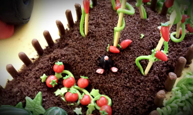 Le fragole e i pomodori modellati nella terra di cioccolato