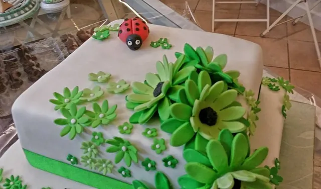 La torta con margherite verdi e coccinella