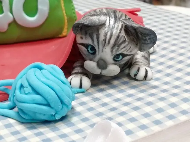 Il gattino grigio che gioca con il gomitolo azzurro