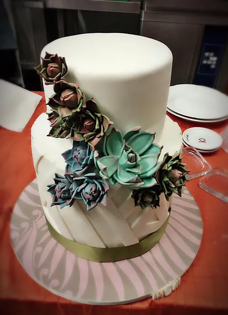 Succulente verdi e bordeaux sulla torta bianca