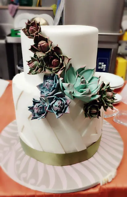 Torta nuziale bianca a due piani con pieghe di pasta di zucchero, nastro verde oliva e cascata di succulente colorate.