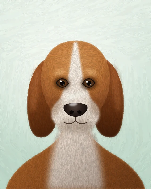 Ritratti di animali